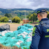 Foto de funcionarios del Distrito en operativo de limpieza