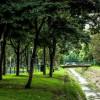 Bosque Urbano de Bogotá
