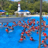 Foto de ciudadanos en una piscina 