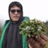Actividad de reconocimiento de especies del Jardín Botánico