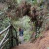 Foto que muestra un sendero ecológico 