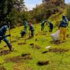 renaturalización vereda Curibital con el Jardín Botánico de Bogotá