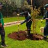 operarios del Jardín Botánico de Bogotá realizan actividad de siembra de arbolado jóven