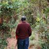 Foto que muestra unas personas caminando en senderos ecológicos