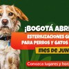 Perro y gato junto a aviso: “¡Bogotá abre 8.300 esterilizaciones gratuitas para perros y gatos durante el mes de junio! Conozca lugares y horarios aquí”