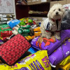Foto de donaciones recolectadas para animales afectados en Venezuela.