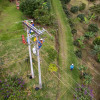 Foto que muestra árboles y dos personas con uniforme de Enel Colombia en un poste de energía 