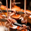 Imagen de Violines de la Filarmónica de Bogotá