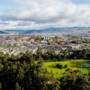 Foto panorámica de Bogotá que muestra árboles y edificios 