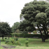 Bosque urbano en Bogotá con árboles, césped, sendero y canecas
