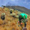 Soldado del Ejército Nacional en un páramo.