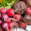 Rábanos y remolachas frescas con hojas verdes dispuestas sobre superficie clara para preparación gastronómica