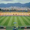 Foto de la gramilla del estadio Nemesio Camacho El Campín de Bogotá