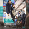Pieza gráfica de TransMilenio sobre viaje de mascotas en el Sistema. 