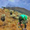 Ejército sembrando árboles