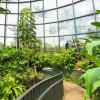 Tropicario del Jardín Botánico de Bogotá