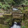 Foto que muestra árboles y una salida de agua 