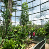 Tropicario del Jardín Botánico con sendero curvo, vegetación tropical y visitantes recorriendo invernadero