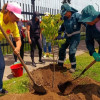 Equipo del Jardín Botánico y comunidad realizan plantación de árbol en andén durante jornada de recuperación arbórea en Engativá