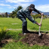 Operario del Jardín Botánico realiza siembra de palma joven en parque de Bogotá