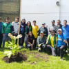 Grupo participa en plantación de magnolios nativos en espacio público de Bogotá