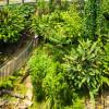 Sendero curvo rodeado de vegetación abundante en el Tropicario del Jardín Botánico de Bogotá