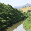 Quebrada estrecha entre laderas verdes, vegetación densa y montañas con agua tranquila bajo cielo claro.