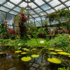 Interior del Tropicario del Jardín Botánico de Bogotá con estanque y plantas
