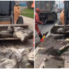 Foto que muestra personas levantando bolsas con residuos y barriendo las calles