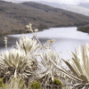 Imagen del páramo de Sumapaz.