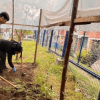 Estudiantes del Colegio Miravalle de Usme participan en actividades de agricultura urbana y restauración ecológica junto al Jardín Botánico de Bogotá.