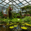 Interior del Tropicario del Jardín Botánico de Bogotá con estanque de plantas acuáticas, especies tropicales, jardines biodiversos y estructura de vidrio que conserva diferentes ecosistemas.