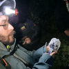 Participante observa una polilla durante jornada nocturna de monitoreo de biodiversidad en Bogotá, utilizando linterna frontal y equipos de registro en un área natural.