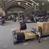 Un Policía con un perro revisando unas cajas 