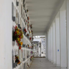 Foto que muestra un cementerio con flores 