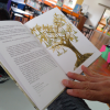 Imagen de libro abierto con un dibujo de árbol y unas manos sosteniéndolo 