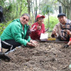 comunidad de Suba participa en actividades de siembra en la huerta del Parque Distrital Ecológico de Montaña Mirador de los Nevados