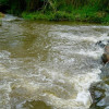 Imagen de un río 