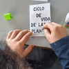 Estudiante elabora un fanzine ecológico con texto literal “CICLO DE VIDA DE LAS PLANTAS” durante actividad pedagógica de educación ambiental en Ciudad Bolívar.