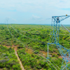 Foto que muestra una antena de energía y árboles 