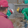 Funcionario del Distrito y trabajadores de la empresa Vanti durante el megaoperativo.