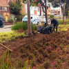 Personal del Jardín Botánico realiza labores de recuperación y mantenimiento floral en jardinera del barrio Palermo.