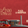 Pieza gráfica de TransMilenio 