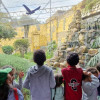 Niñas y niños de Centros Proteger visitando el Parque Jaime Duque
