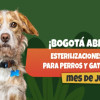 Perro y gato junto a pieza gráfica con texto literal: “¡Bogotá abre 10.500 esterilizaciones gratuitas para perros y gatos durante el mes de julio!”