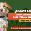 Perro y gato junto a pieza gráfica con texto literal: “¡BOGOTÁ ABRE 10.500 ESTERILIZACIONES GRATUITAS PARA PERROS Y GATOS DURANTE EL MES DE JULIO! Conozca lugares y horarios aquí”