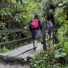 Foto que muestra personas caminando por un sendero ecológico