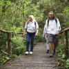 Participantes recorren sendero ecológico en bosque de Bogotá durante caminata ecológica organizada por la Secretaría Distrital de Ambiente.