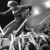 Imagen de Fotograma Metrópolis de Fritz Lang.
