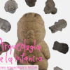 Imagen promocional de la exposición donde se aprecian varios de los objetos arqueológicos que se presentarán.